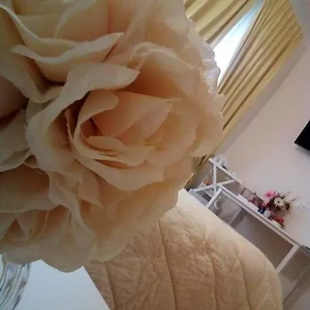 Bed & Breakfast Officina Urban Sleep San Benedetto del Tronto
