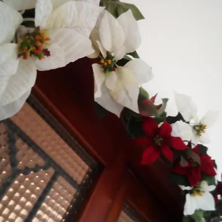 فندق مبيت وإفطار Officina Urban Sleep 3*