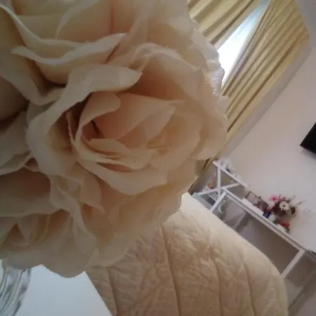 Oda ve Kahvaltı Officina Urban Sleep