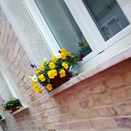 Oda ve Kahvaltı Officina Urban Sleep San Benedetto del Tronto